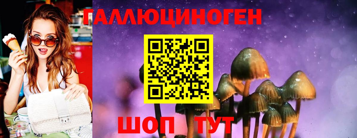Галлюциногенные грибы ЛСД Хасавюрт
