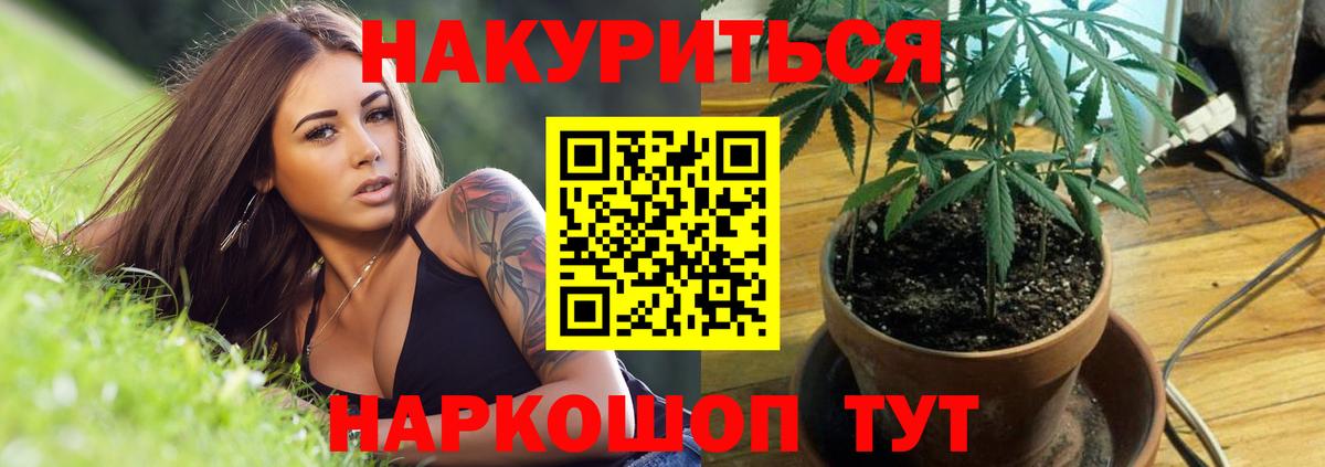 Бошки Шишки гибрид Хасавюрт
